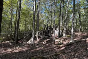 98 Eastwoods Rd, Pound Ridge, NY 10576 - Photo 9