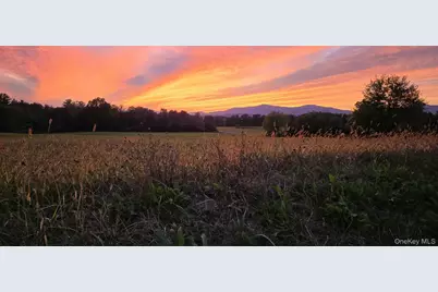 9 Elizabeth Drive #29B, Tivoli, NY 12583 - Photo 5