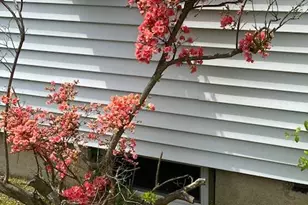 170 Wickfield Ln, North Babylon, NY 11703 - Photo 21