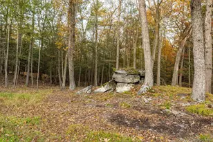 66 Plochmann Ln, Woodstock, NY 12498 - Photo 49