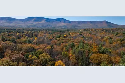 367 South Road, Cairo, NY 12473 - Photo 43