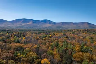 367 South Rd, Cairo, NY 12473 - Photo 43