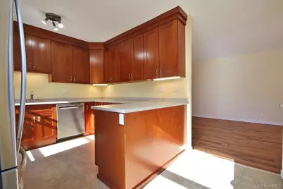 16 N Broadway #5R, White Plains, NY 10601 - Photo 11