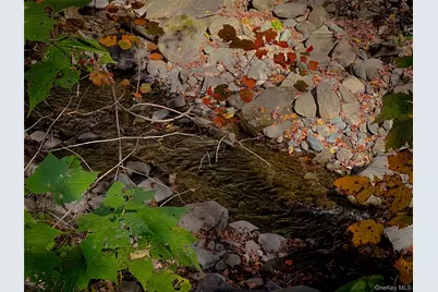 259 Tennanah Lake Road, Roscoe, NY 12776 - Photo 3