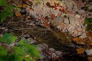 259 Tennanah Lake Rd, Roscoe, NY 12776 - Photo 3