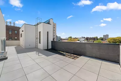 310 Fenimore St, Brooklyn, NY 11225 - Photo 49
