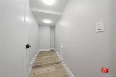 1017 E 92nd Street, Brooklyn, NY 11236 - Photo 31