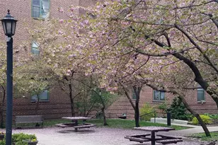 34-20 79th St, Jackson Heights, NY 11372 - Photo 19