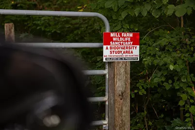 281 County Route 3, Ancramdale, NY 12503 - Photo 39