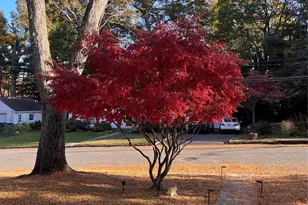 110 Topland Rd, White Plains, NY 10605 - Photo 35