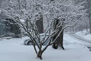 110 Topland Rd, White Plains, NY 10605 - Photo 41