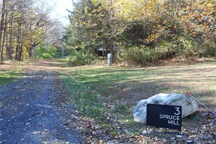 3 Spruce Hl, Amenia, NY 12501 - Photo 35