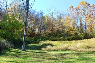 3 Spruce Hl, Amenia, NY 12501 - Photo 3