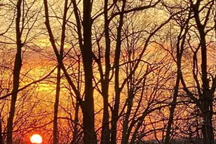 19 Ridgeview Rd, Poughkeepsie, NY 12603 - Photo 45