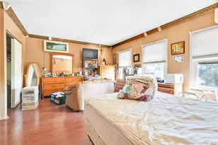 49 Hull St, Brooklyn, NY 11233 - Photo 13