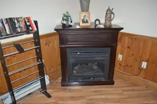 238 Trout Brook Rd, Roscoe, NY 12776 - Photo 9