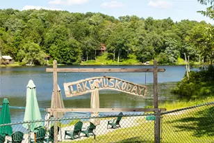 238 Trout Brook Rd, Roscoe, NY 12776 - Photo 29