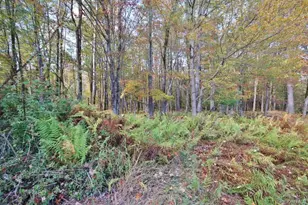 93 Downs Rd, Monticello, NY 12701 - Photo 37