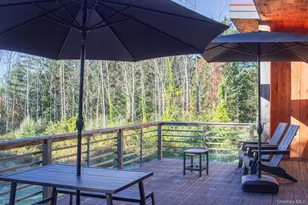 12 Reed Rd, Spencertown, NY 12165 - Photo 11