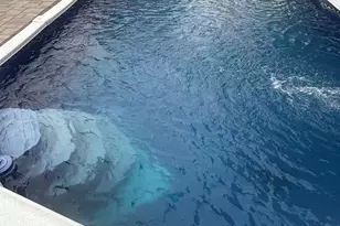 23 Bowman Ln, Kings Park, NY 11754 - Photo 7