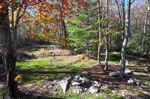 43 Callahans Rd, Wurtsboro, NY 12790 - Photo 47