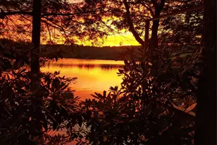 106 Park Dr, Parksville, NY 12768 - Photo 21