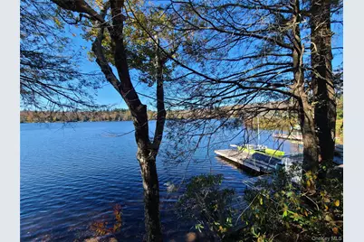 106 Park Drive, Parksville, NY 12768 - Photo 31