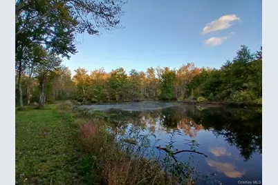 1279 State Route 94, New Windsor, NY 12553 - Photo 29