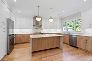 51 Netz Pl, Albertson, NY 11507 - Photo 5