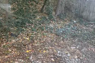 7 Continental Hill, Glen Cove, NY 11542 - Photo 33