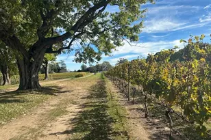 535 Bay Home Rd, Southold, NY 11971 - Photo 13