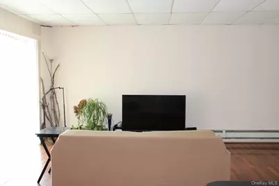 12 S Parsonage Street, Rhinebeck, NY 12572 - Photo 39