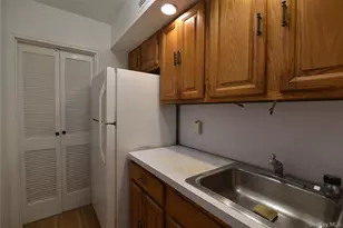 54-44 Little Neck Pkwy, Little Neck, NY 11362 - Photo 11
