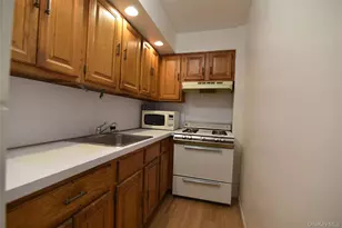 54-44 Little Neck Pkwy, Little Neck, NY 11362 - Photo 19