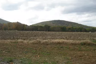 82 Lake Rd, Pine Plains, NY 12567 - Photo 33