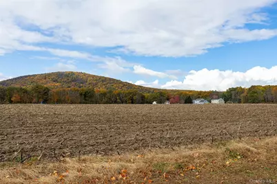 82 Lake Road, Pine Plains, NY 12567 - Photo 5