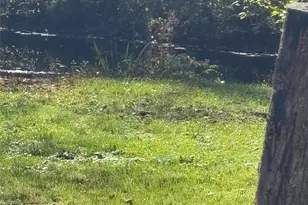 18 Blue Heron Ln, Staatsburg, NY 12580 - Photo 3