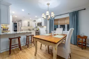 10 Princeton St, Rockville Centre, NY 11570 - Photo 11