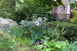 14736 Charter Rd, Kew Gardens, NY 11435 - Photo 17