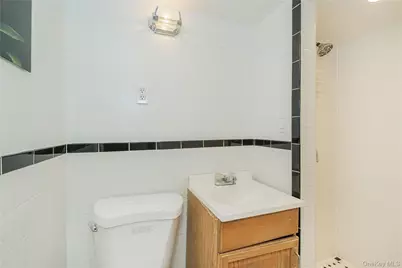 310 Eldert Lane, Brooklyn, NY 11208 - Photo 29