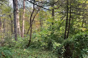 407 Swartekill Rd, Highland, NY 12528 - Photo 5