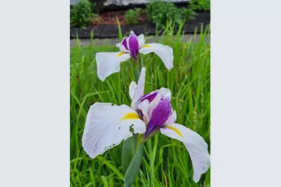 134 Dalmeny Road, Briarcliff Manor, NY 10510 - Photo 41