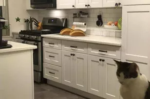 3176 Decatur Ave, Bronx, NY 10467 - Photo 5