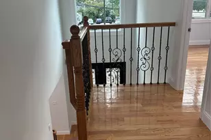 244 Andrews Rd, Mineola, NY 11501 - Photo 15