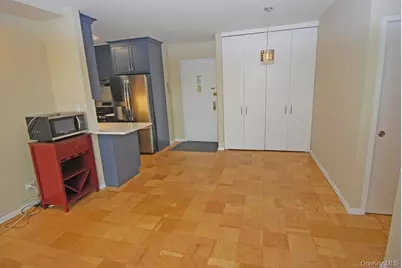 26910 Grand Central Parkway #22P, Floral Park, NY 11005 - Photo 11