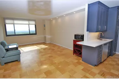 26910 Grand Central Parkway #22P, Floral Park, NY 11005 - Photo 5