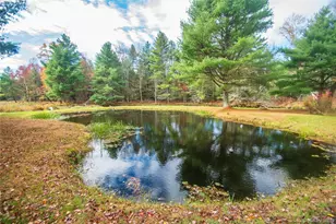 20 Valley Rd, Forestburgh, NY 12777 - Photo 37