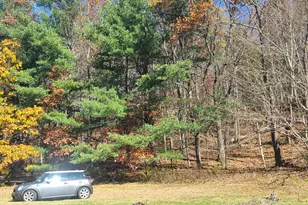 461 White Schoolhouse Rd, Rhinebeck, NY 12572 - Photo 5