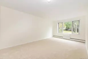 195 S Middle Neck Rd, Great Neck, NY 11021 - Photo 19