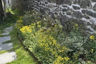 11 Sutton Pl, Ossining, NY 10562 - Photo 47